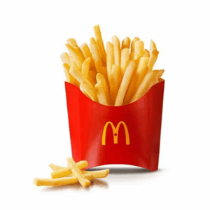 World Famous Fries